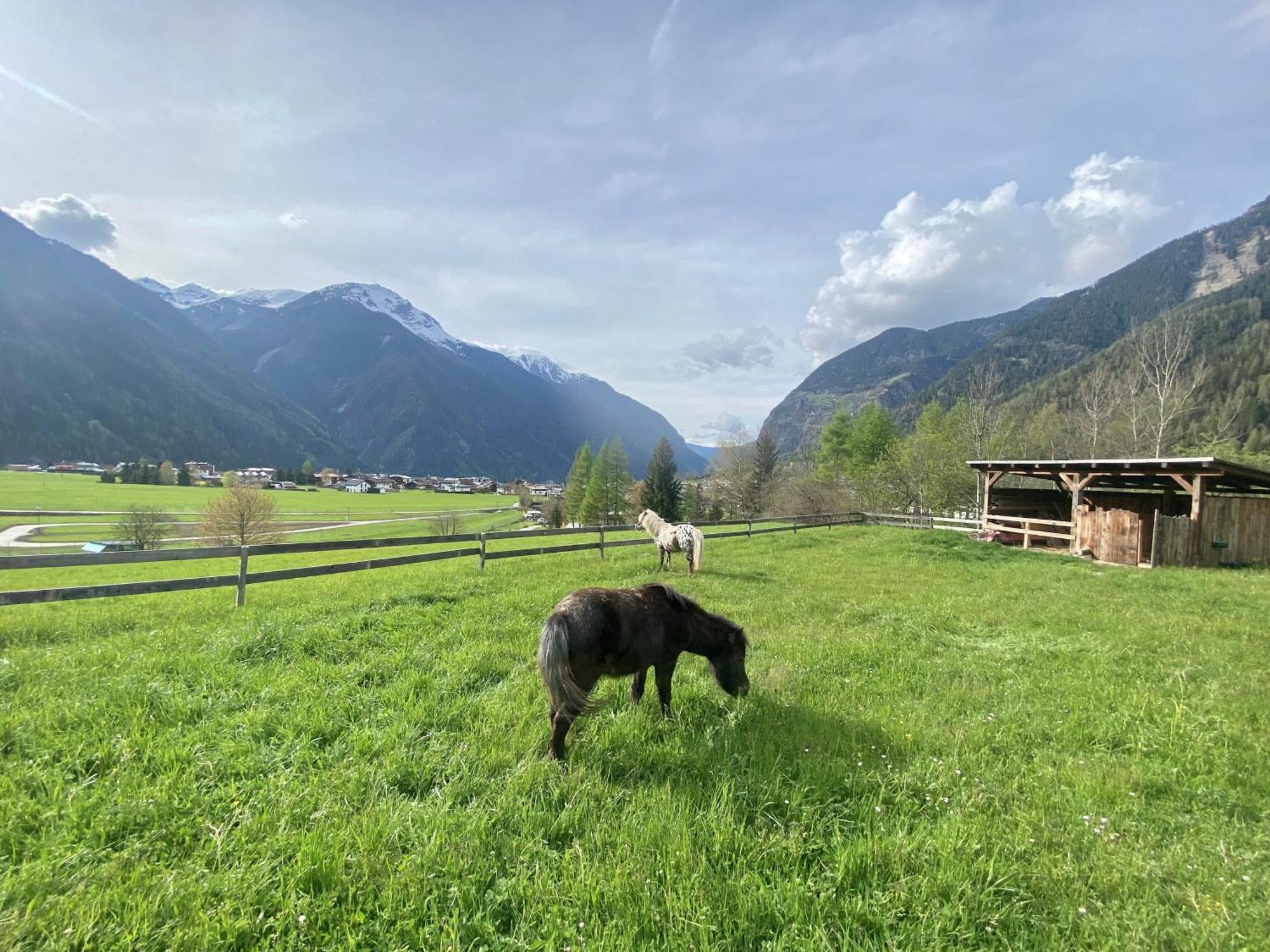 Ferienhaus Tirol Im Oetztal อุมเฮาเซิน ภายนอก รูปภาพ